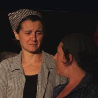 Img 0515